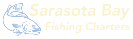 Sarasota Bay Fishing Charters